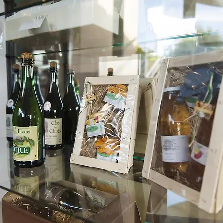 Cit'hotel Armony Hotel Bourg-Achard